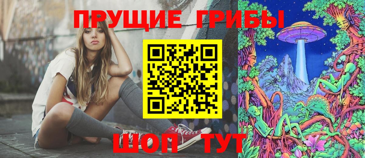 Новый Уренгой  Галлюциногенные грибы Psilocybine cubensis  Вход с VPN 