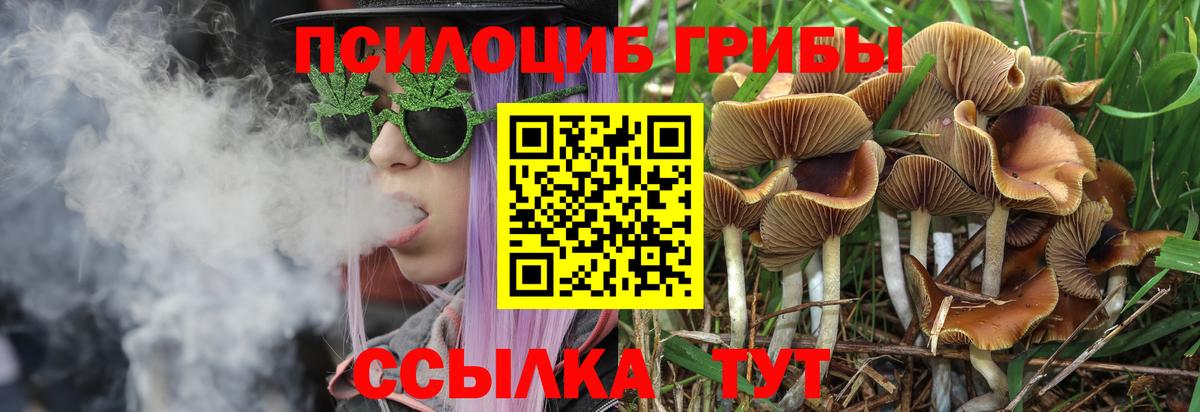 Псилоцибиновые грибы прущие грибы Новый Уренгой